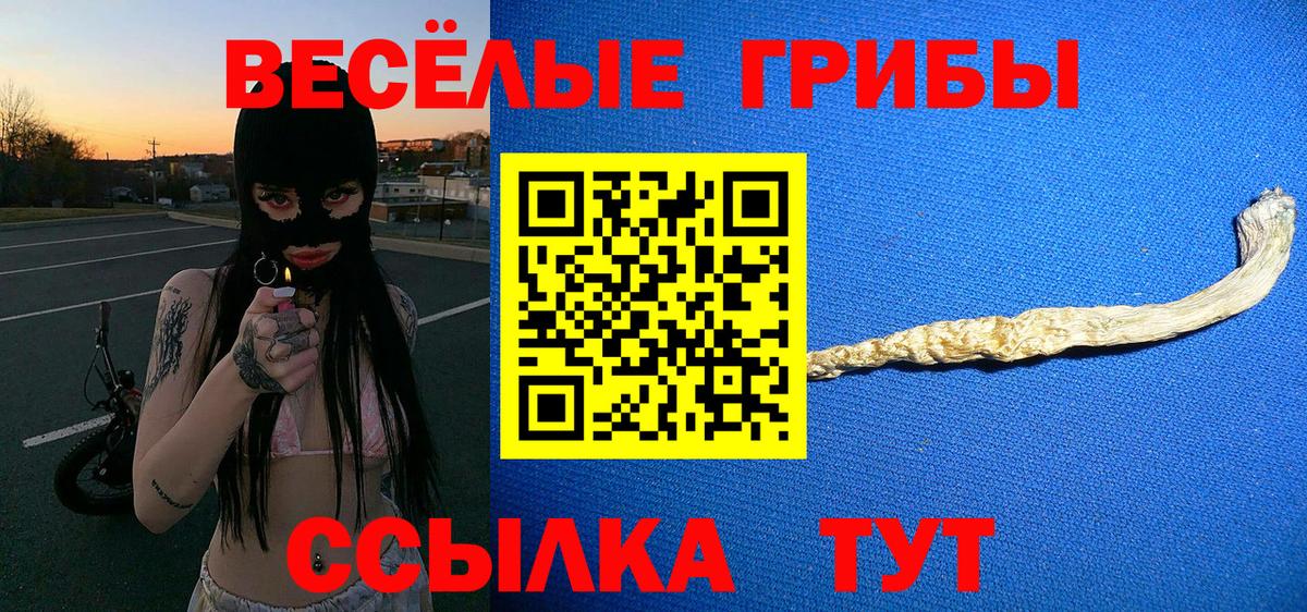 Псилоцибиновые грибы MAGIC MUSHROOMS  дарнет шоп  Норильск  Вход с VPN 